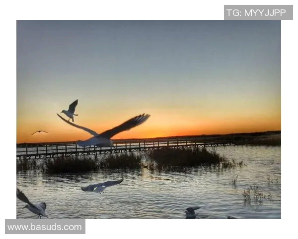 滑板人生的深度对话:赵强与梦想的追逐与坚持 滑板人生的深度对话:赵强与梦想的追逐与坚持